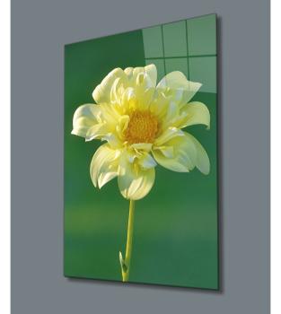 Gelbe Blume Art Design rechteckiges spezial Glasbild!
